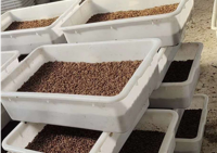 廣東塑料周轉(zhuǎn)箱未來(lái)發(fā)展趨勢(shì)如何？平時(shí)如何保養(yǎng)維護(hù)？