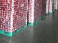 2021年制造業(yè)和流通業(yè)在托盤上的貨物在運(yùn)輸過程中固定的調(diào)查數(shù)據(jù)